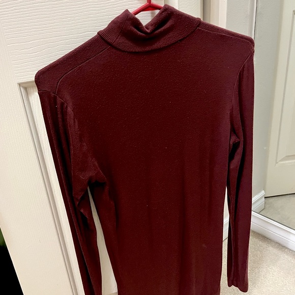Only Wilfred Free turtle neck from Aritzia - Picture 1 of 2